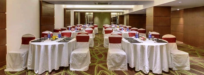 293/The Pride Hotel - Ahmedabad 05.jpg